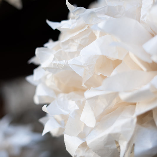 Fiori di carta.