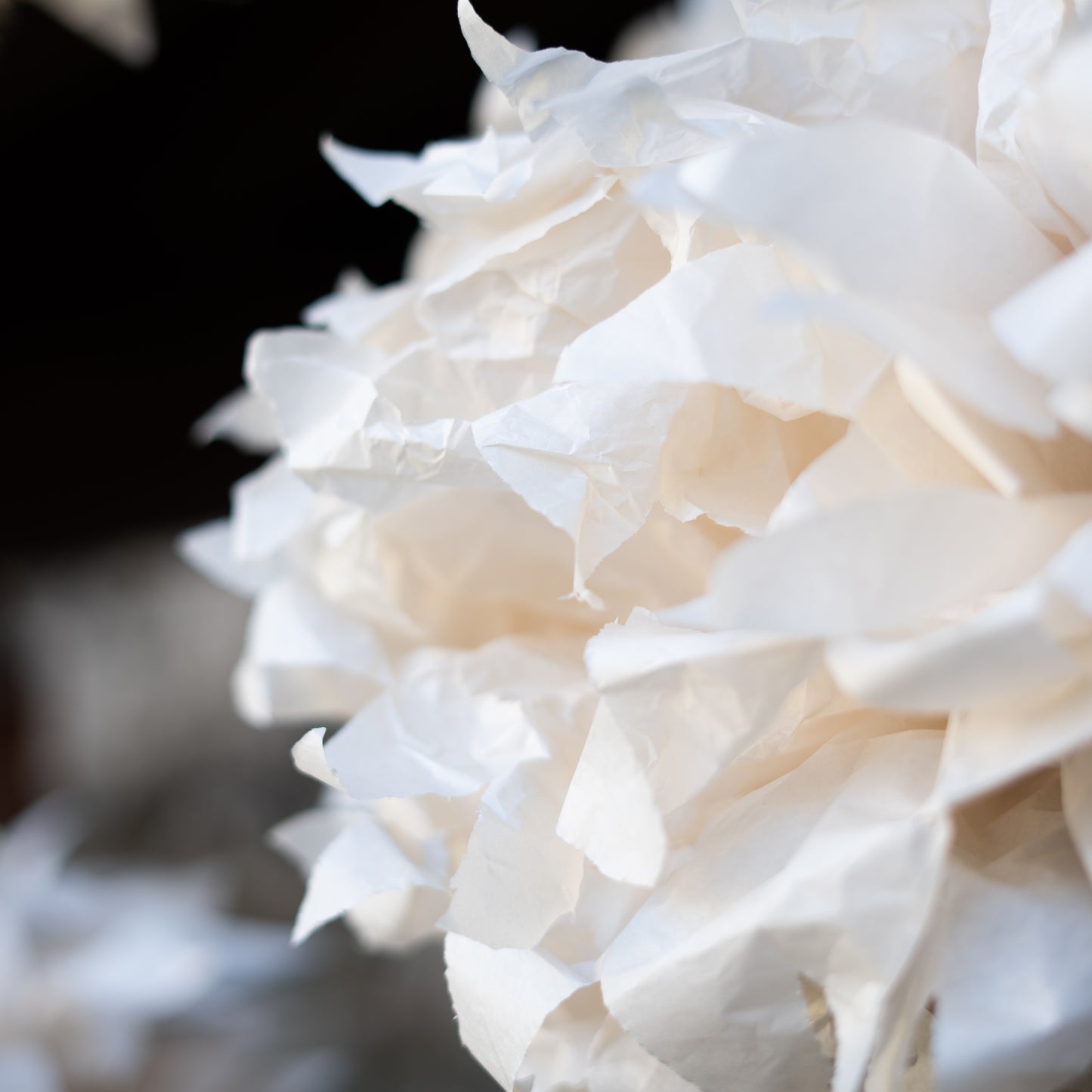 Fiori di carta