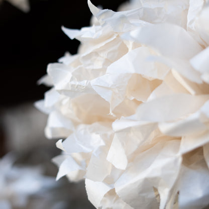 Fiori di carta