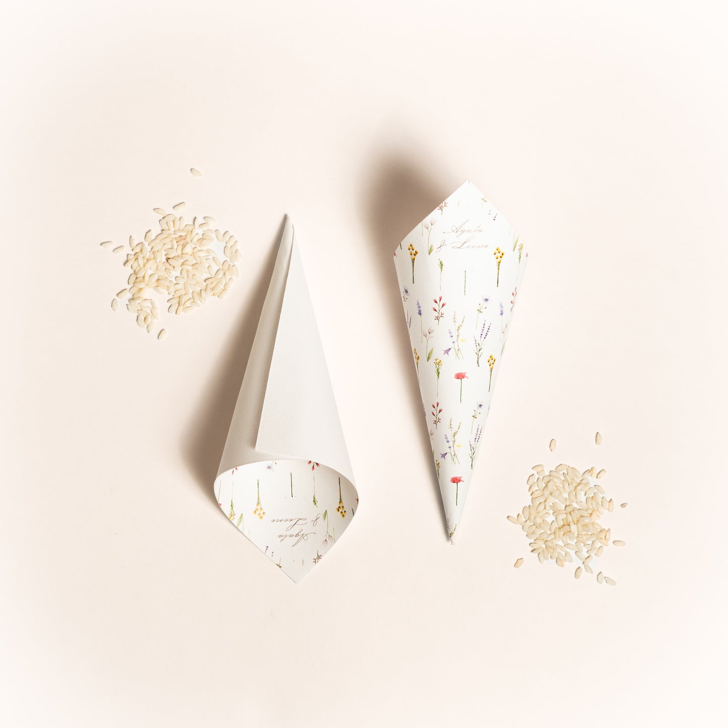Cono Riso