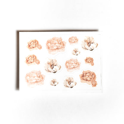 Stikers
