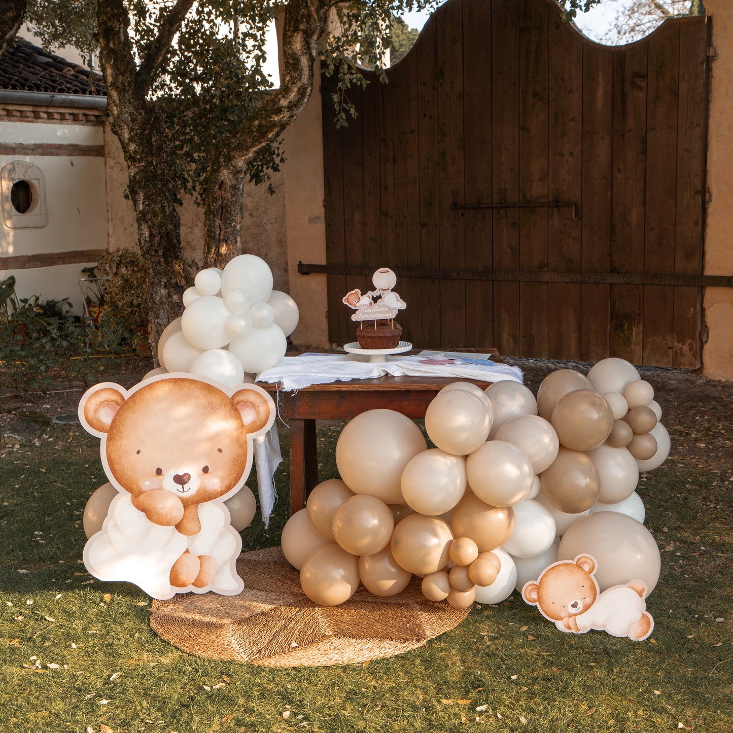 Composizione palloncini Gender reveal