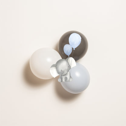 Composizione palloncini