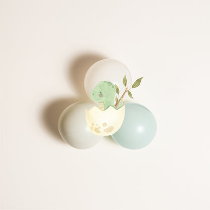 Composizione palloncini