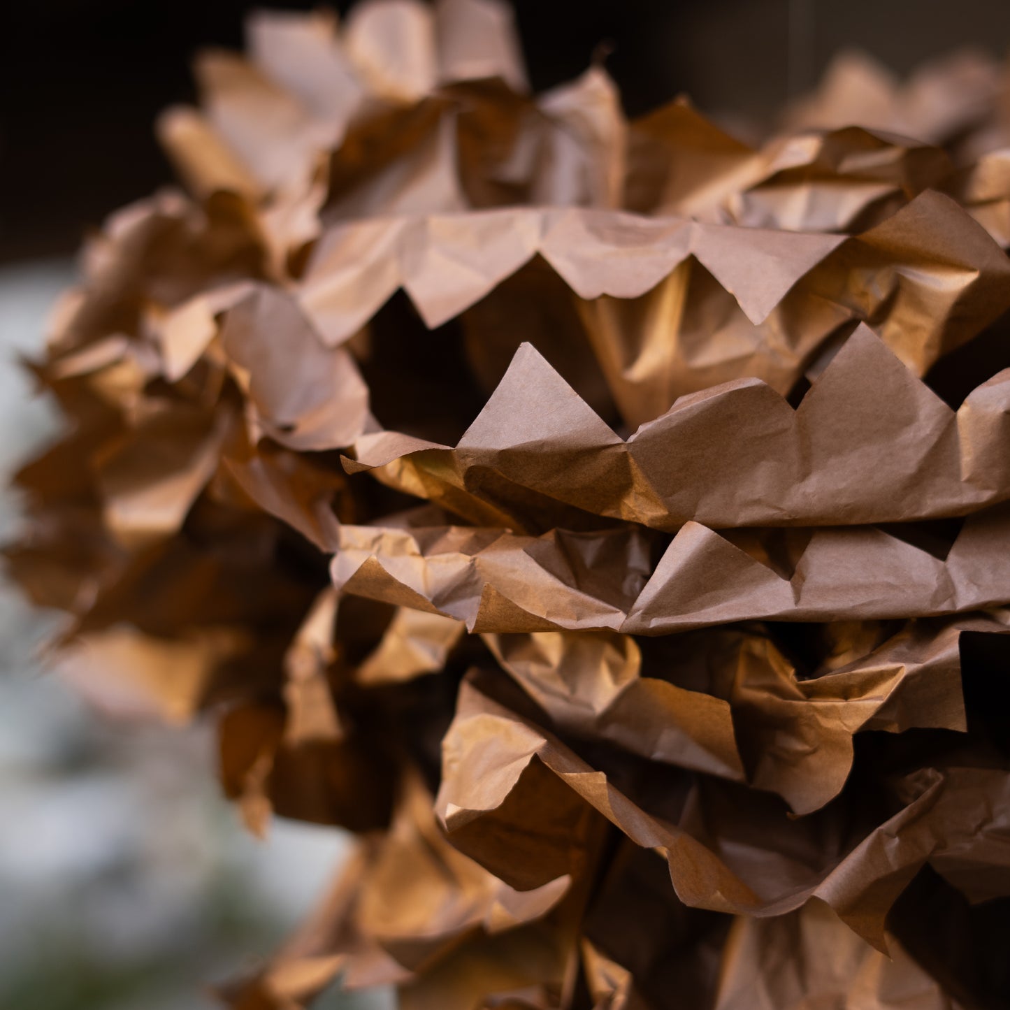 Fiori di carta