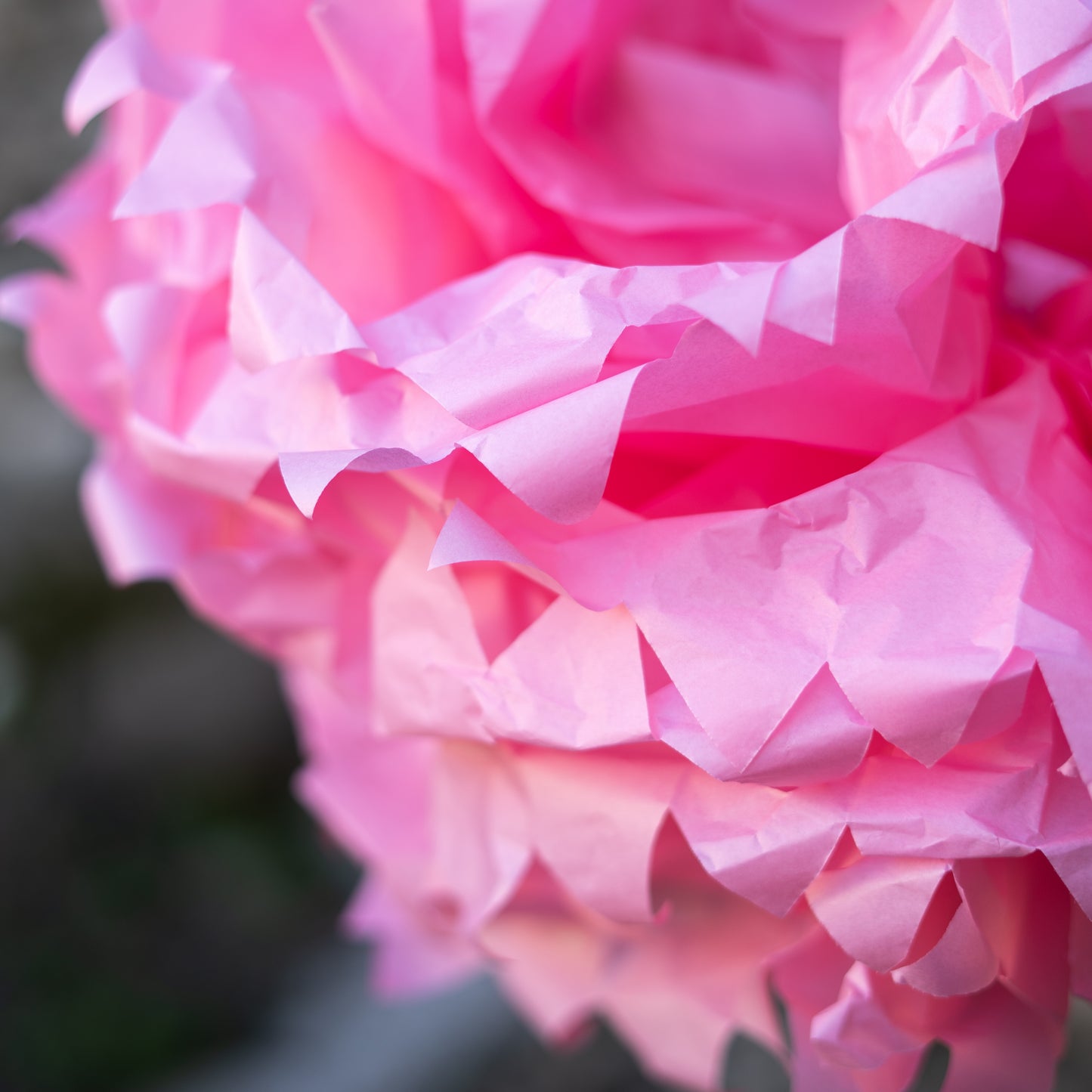 Fiori di carta