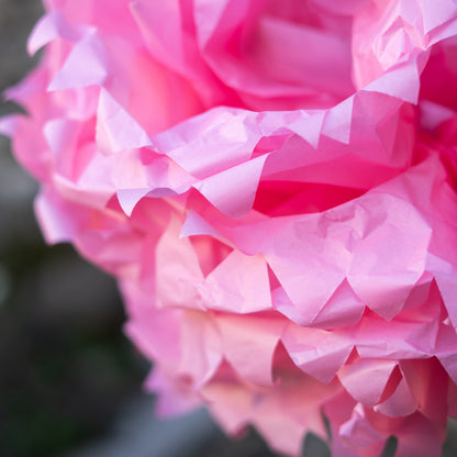 Fiori di carta