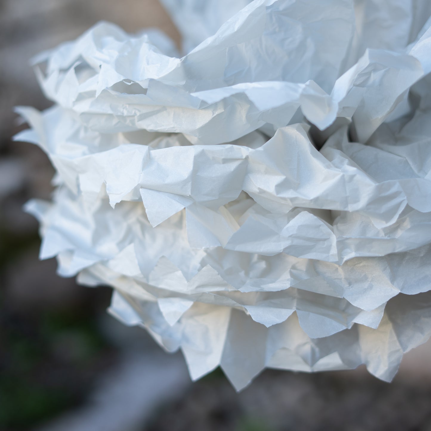 Fiori di carta.