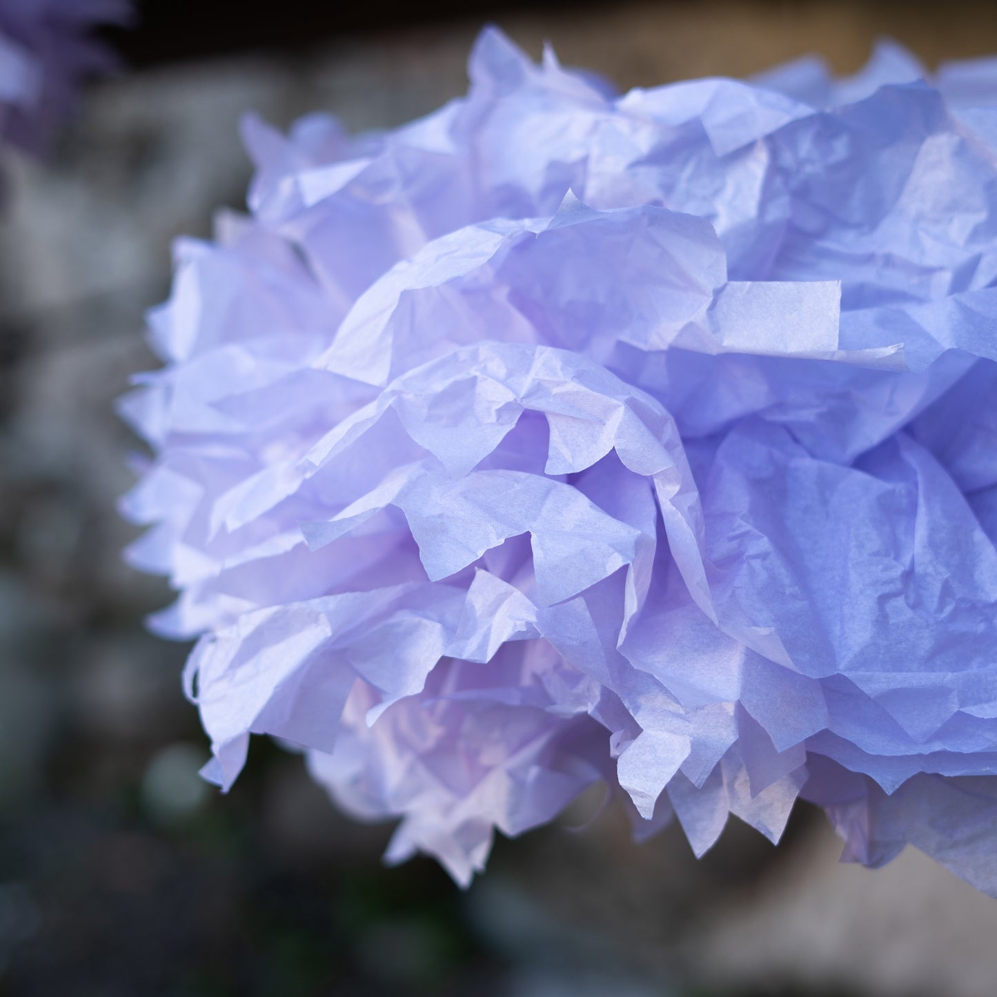 Fiori di carta