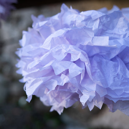 Fiori di carta