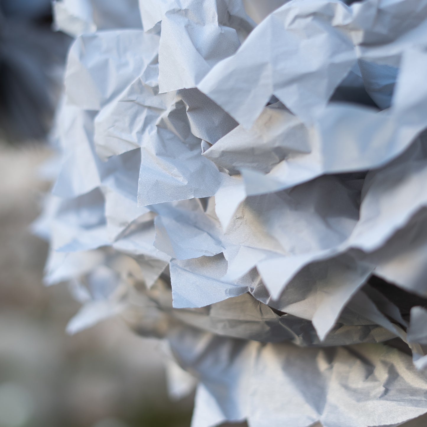 Fiori di carta