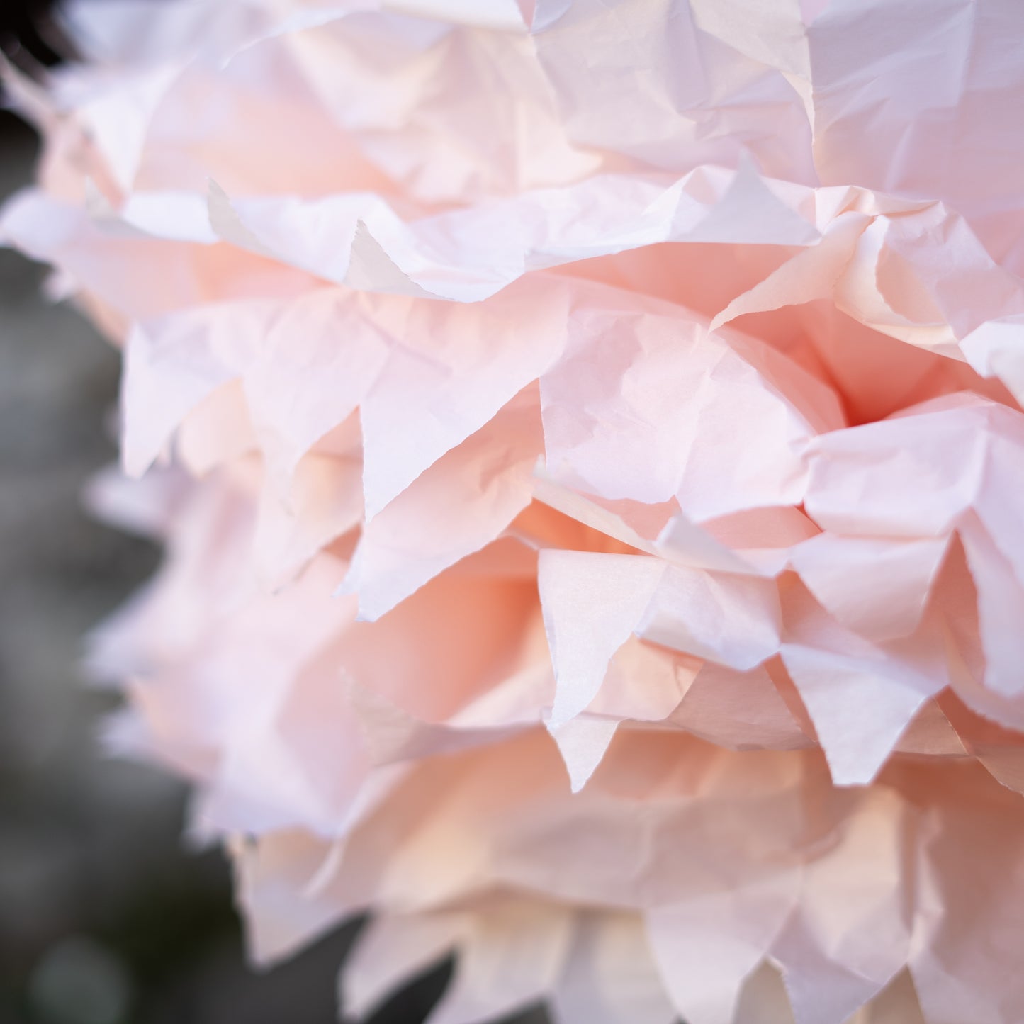 Fiori di carta