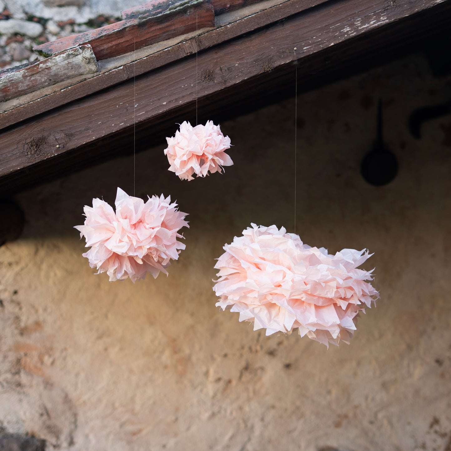 Fiori di carta.