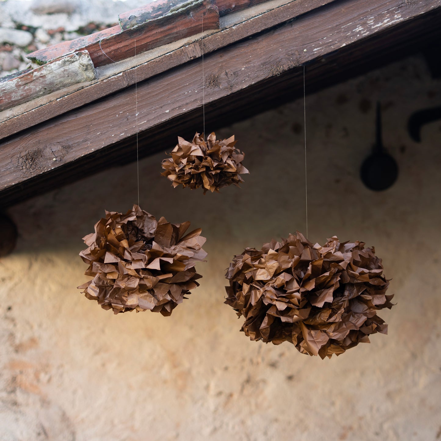 Fiori di carta
