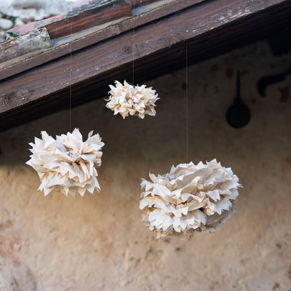 Fiori di carta