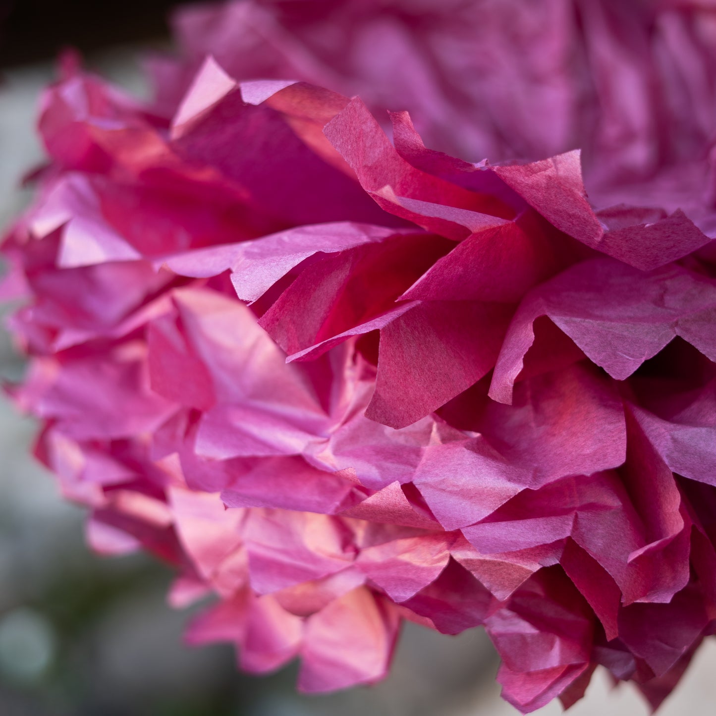 Fiori di carta