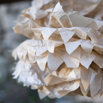 Fiori di carta
