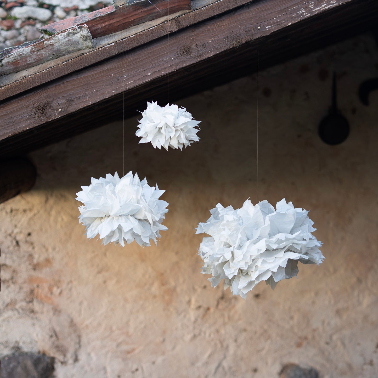 Fiori di carta.