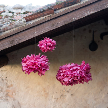 Fiori di carta.