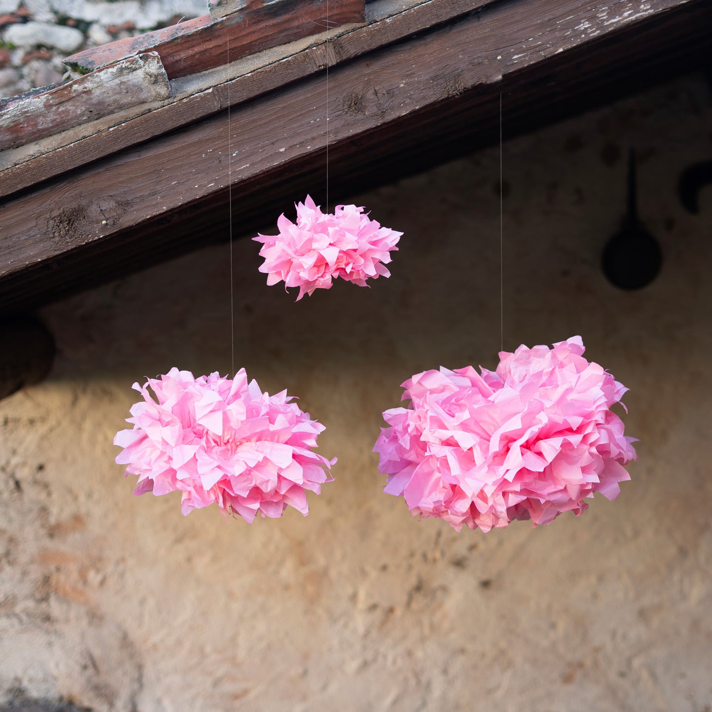 Fiori di carta